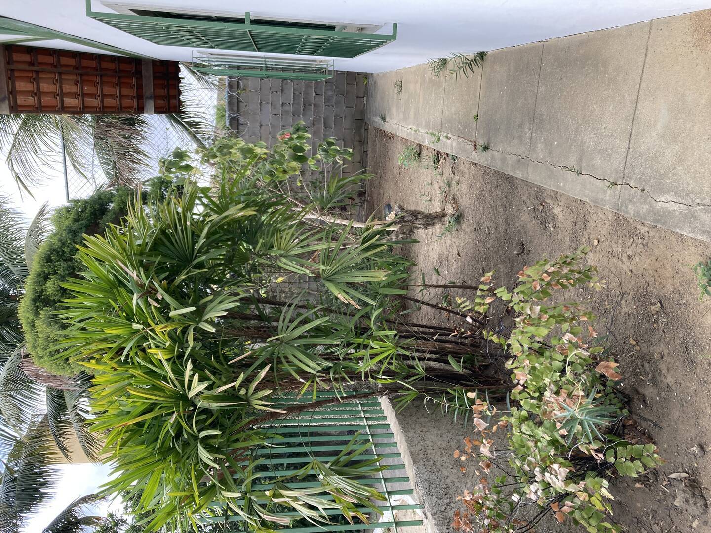 Casa para alugar com 5 quartos, 120m² - Foto 11