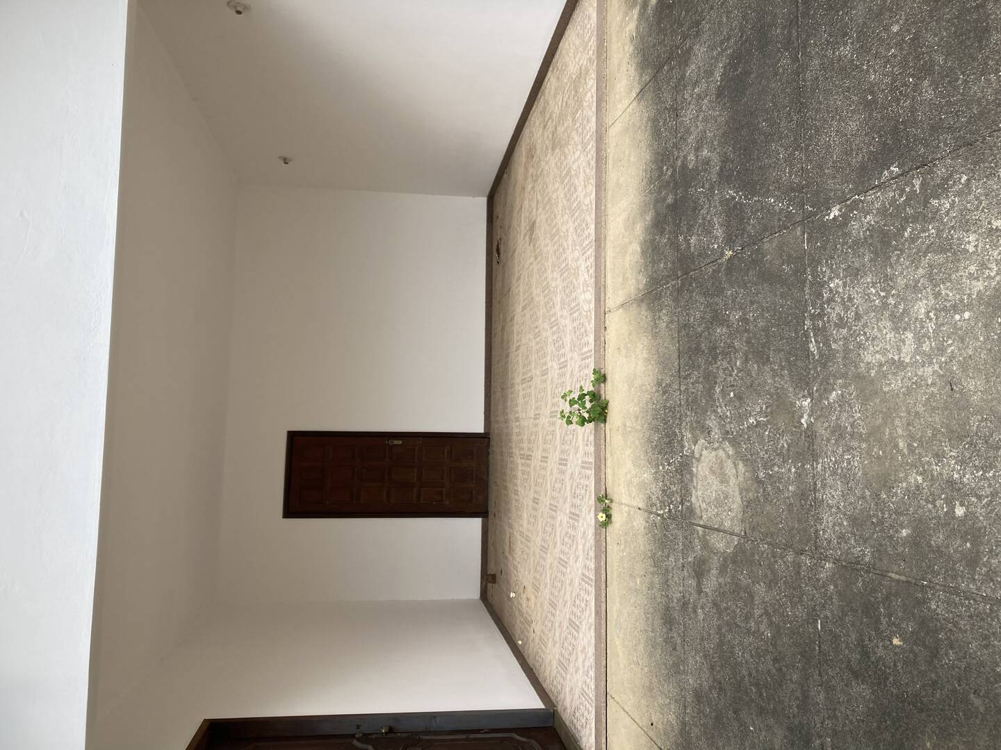Casa para alugar com 5 quartos, 120m² - Foto 14